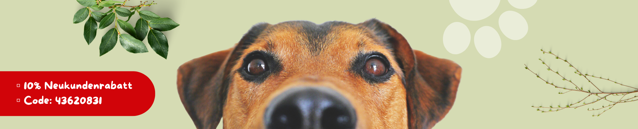 10% Neukundengutschein