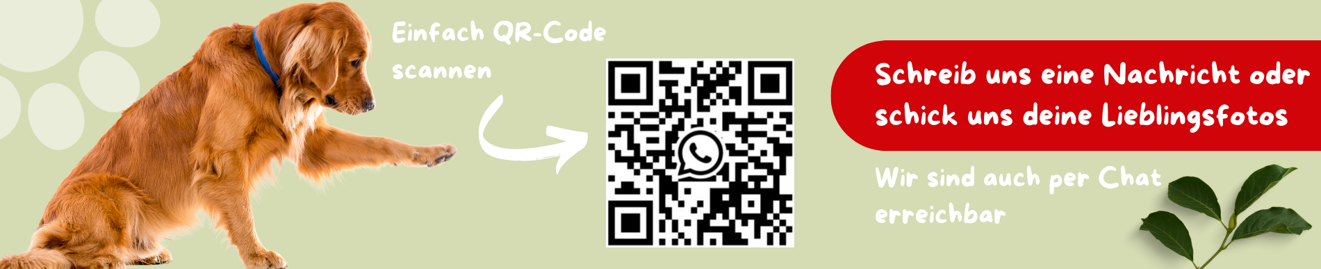 Whatsapp QR Code