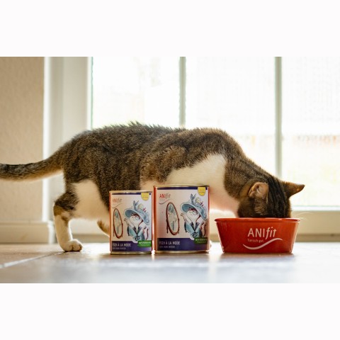 Cat Wet pet food Fisch à la Mode 400g 6 Piece -3- Anifit